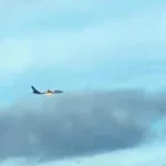 FedEx plane engine fire, bird strike aviation safety, Liberty International Airport incident, aircraft emergency landing, bird collision plane engine, FedEx Flight 3609 update,