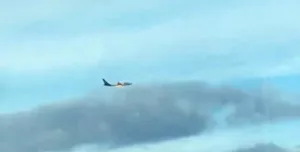 FedEx plane engine fire, bird strike aviation safety, Liberty International Airport incident, aircraft emergency landing, bird collision plane engine, FedEx Flight 3609 update,
