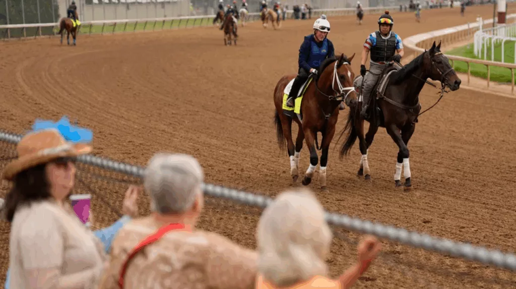 kentucky derby, kentucky derby 2025, kentucky derby 2025 horses, what time is the kentucky derby, when is the kentucky derby 2025, kentucky derby post time horses in the kentucky derby 2025,