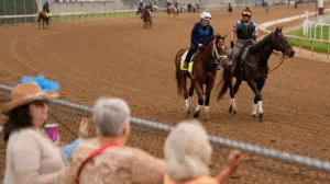kentucky derby, kentucky derby 2025, kentucky derby 2025 horses, what time is the kentucky derby, when is the kentucky derby 2025, kentucky derby post time horses in the kentucky derby 2025,